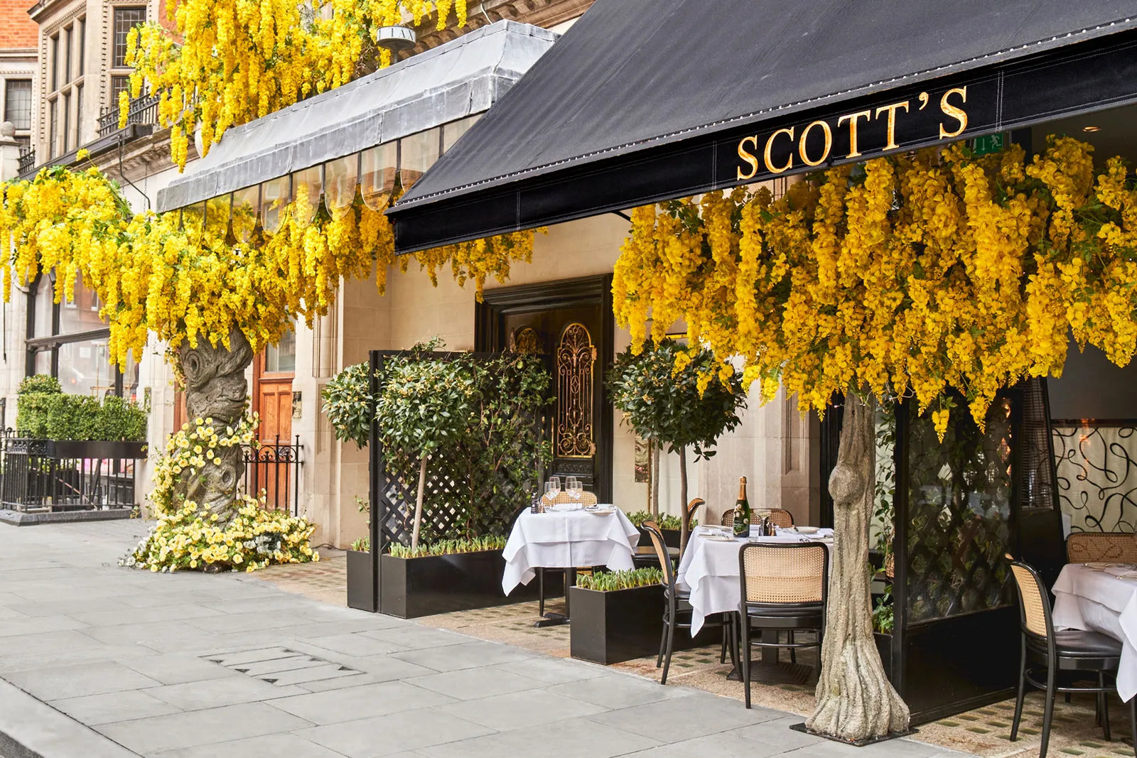 The Seven Mayfair Restaurants You Need To Be Seen At